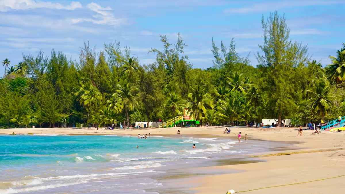 Calm turquoise water and golden sand at the beach